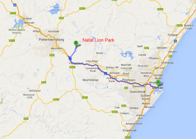 NatalLionParkDurban
